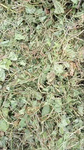 Centella Asiatica (Gotu Kola)