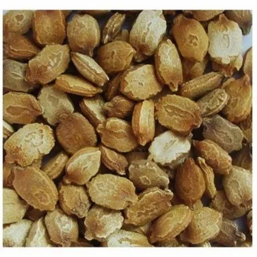 Hybrid Bitter Gourd Seeds
